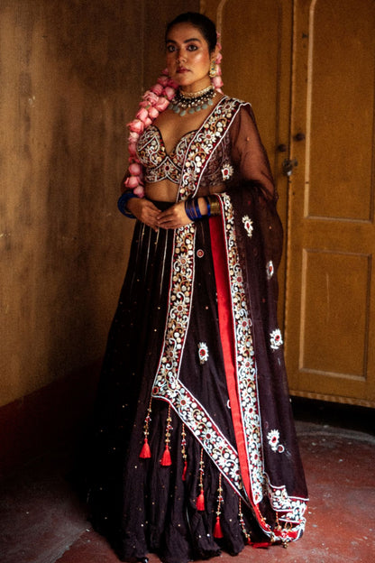 Brown Flared Lehenga Set