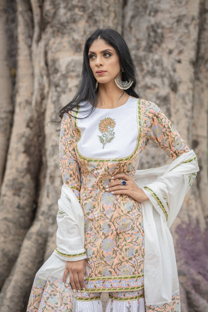 Block Printed Suit